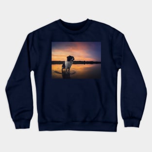 beautiful dog at sunset Crewneck Sweatshirt